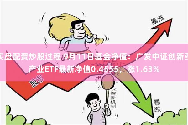 实盘配资炒股过程 9月11日基金净值：广发中证创新药产业ETF最新净值0.4555，涨1.63%