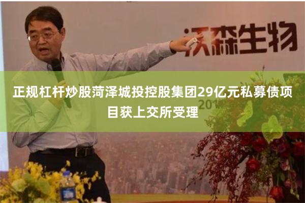 正规杠杆炒股菏泽城投控股集团29亿元私募债项目获上交所受理
